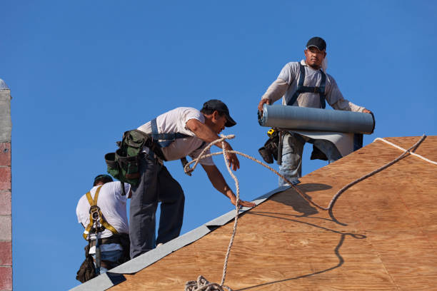 Best Gutter Installation and Roofing  in East Mountain, TX