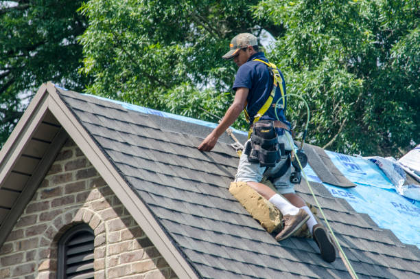 Best Affordable Roofing Company  in East Mountain, TX